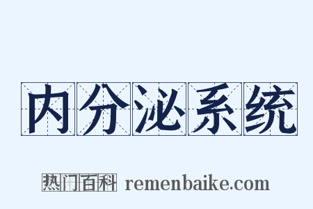 内分泌系统是什么意思的图片